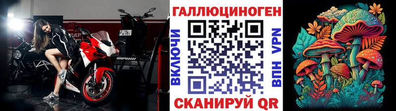 магазин продажи наркотиков  Судак  Галлюциногенные грибы GOLDEN TEACHER 