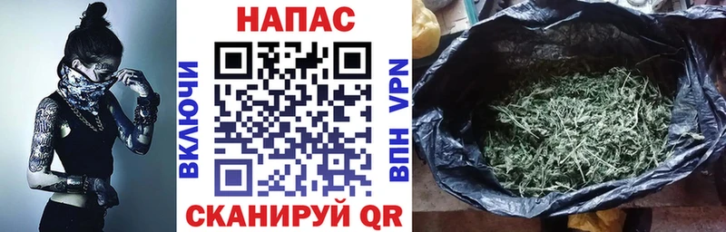 Каннабис планчик  Судак 